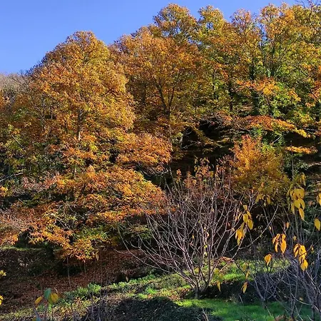 Apartment Duplex Argollas Grand Centro Parking Gratis *