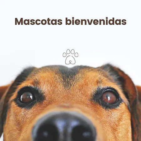 Dùplex Casa De Argollas Grand Parking Gratis