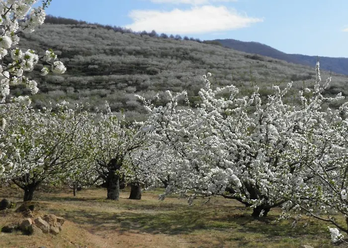 Duplex Argollas Grand Centro Parking Gratis