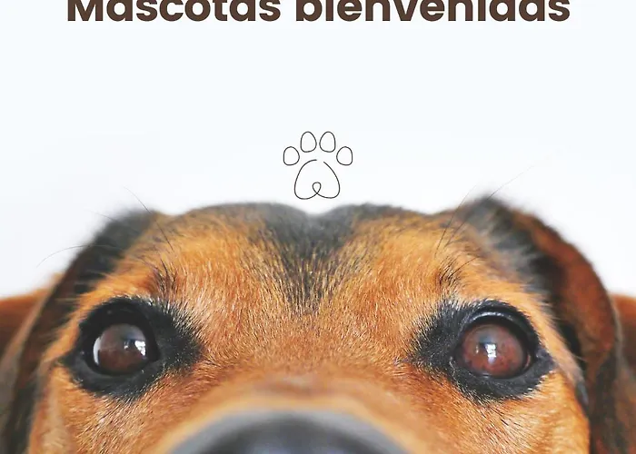 Duplex Argollas Grand Centro Parking Gratis